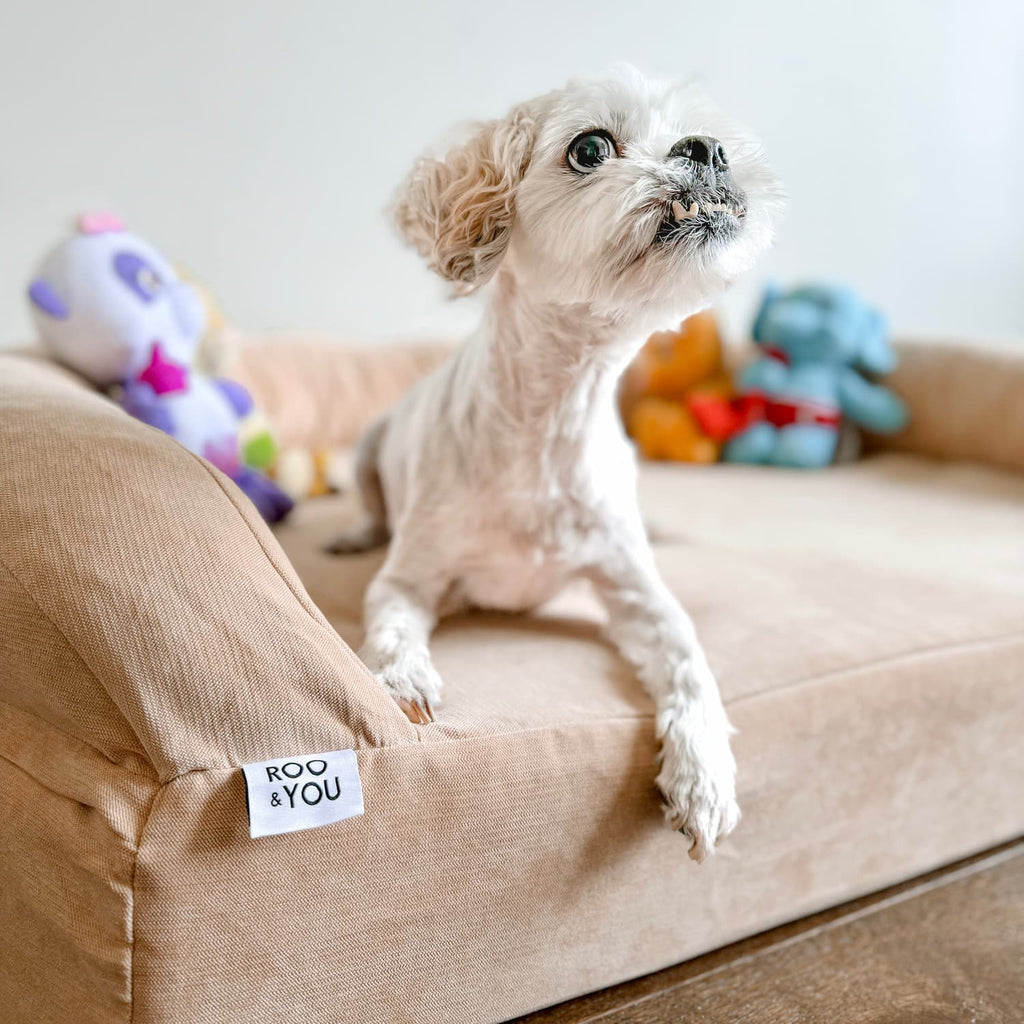 Foam Pet Bed product image 7