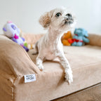 Foam Pet Bed product image 7