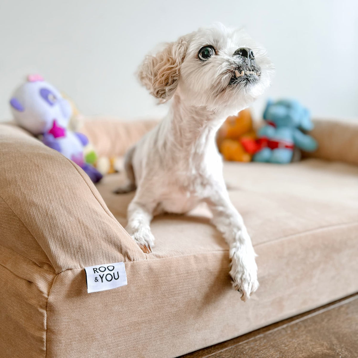 Foam Pet Bed product image 7