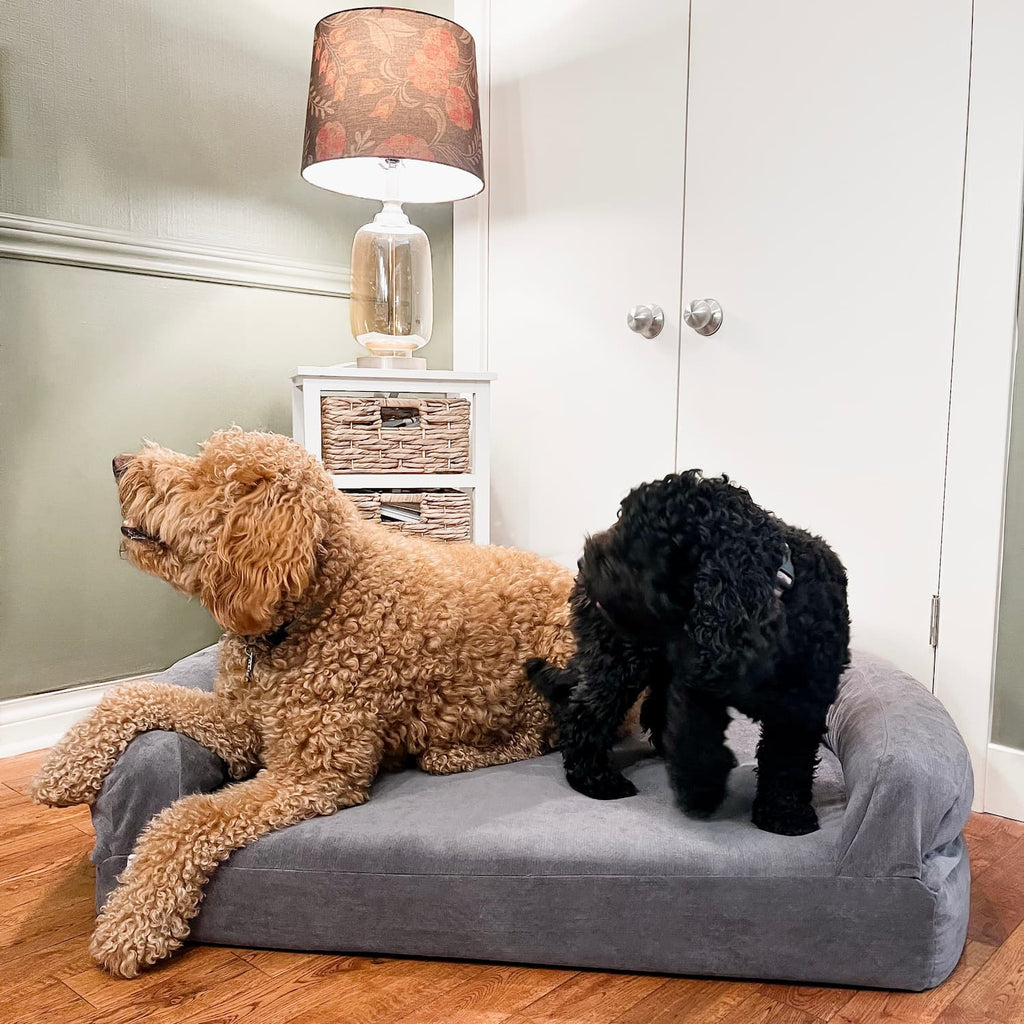 Foam Pet Bed product image 14