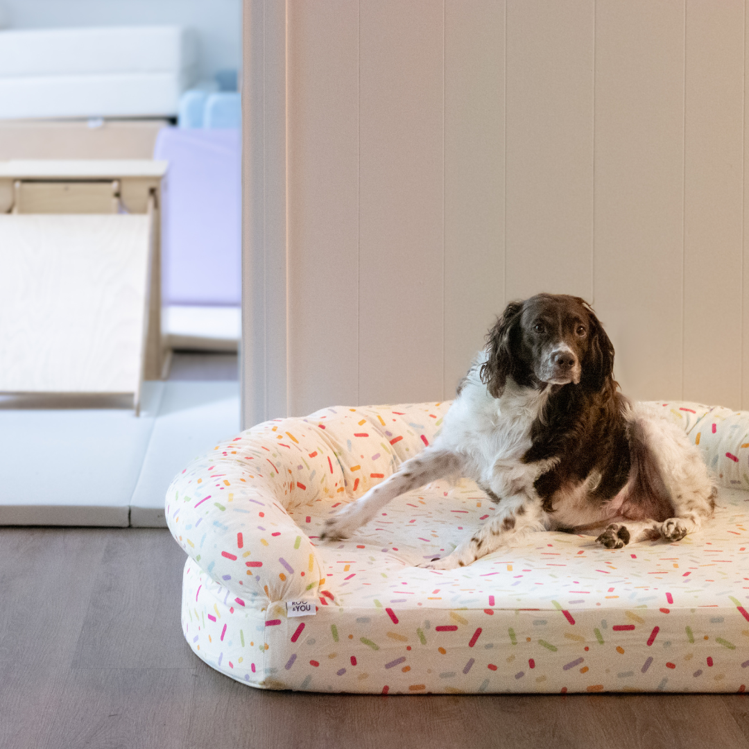 Foam Pet Bed product image 17