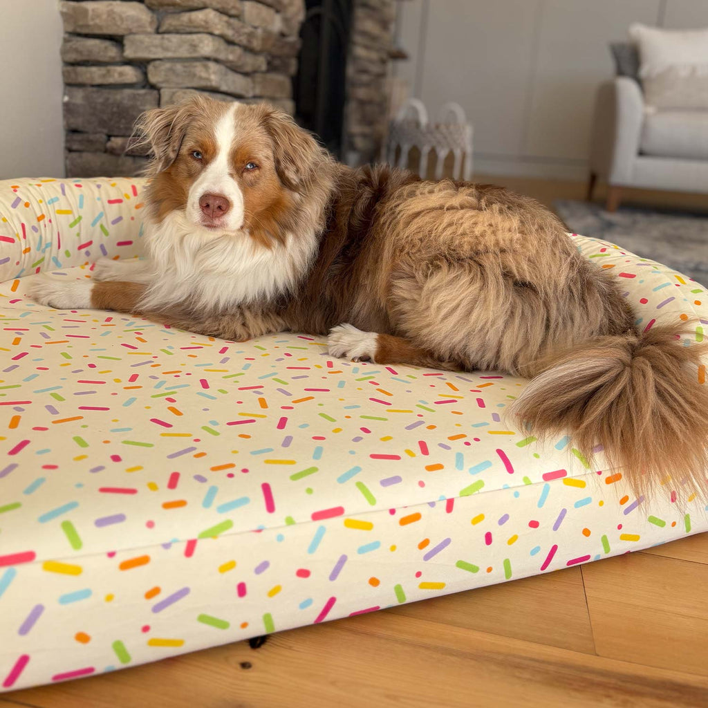 Foam Pet Bed product image 18