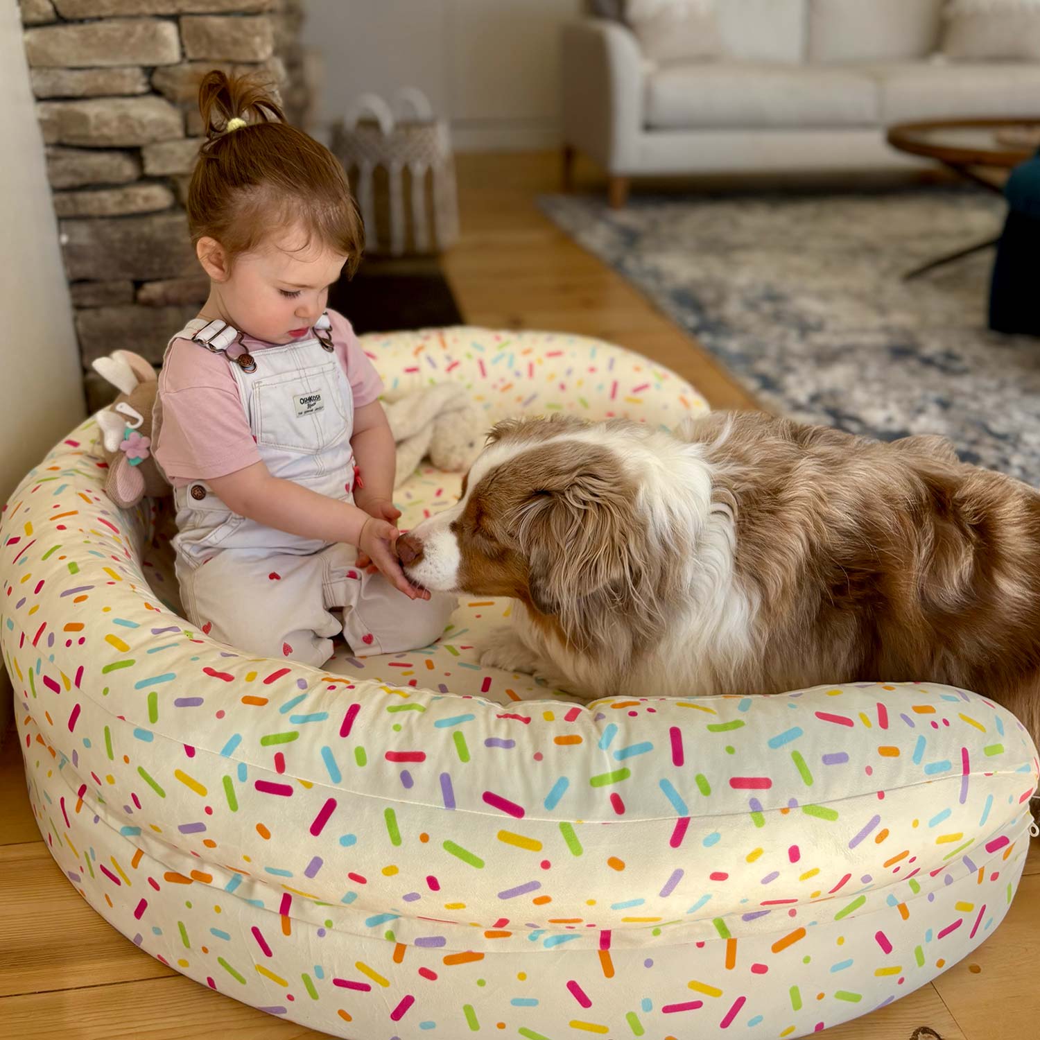 Foam Pet Bed product image 19