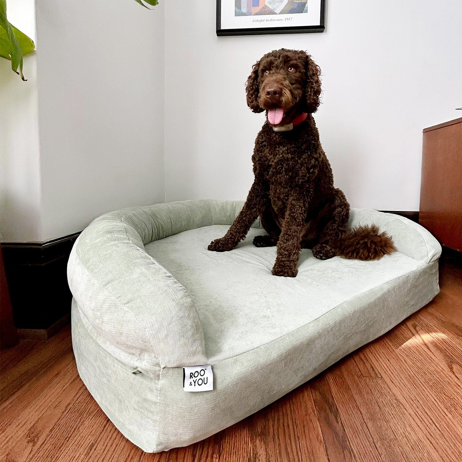 Foam Pet Bed product image 20