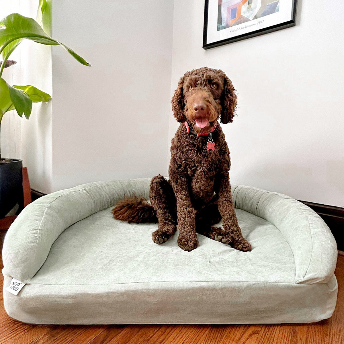 Foam Pet Bed product image 22