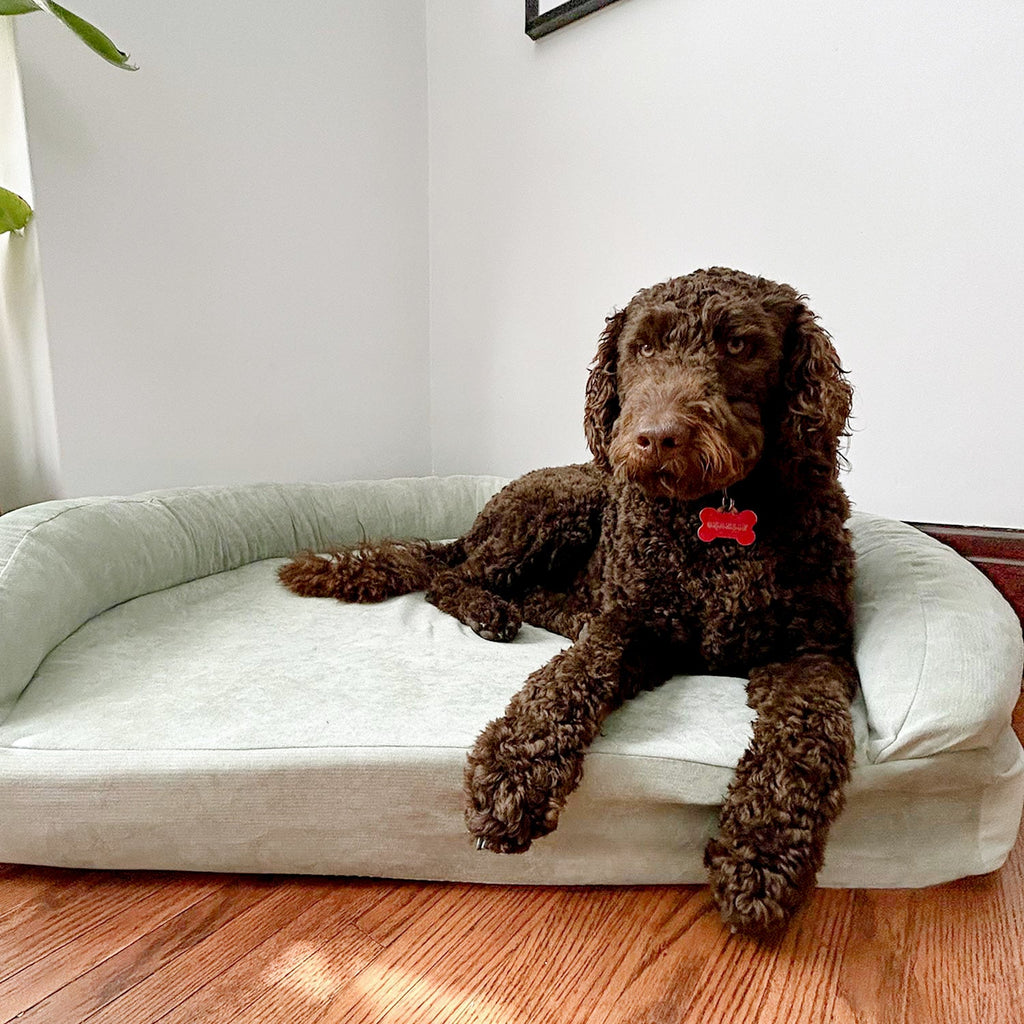 Foam Pet Bed product image 24