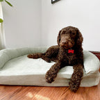 Foam Pet Bed product image 24
