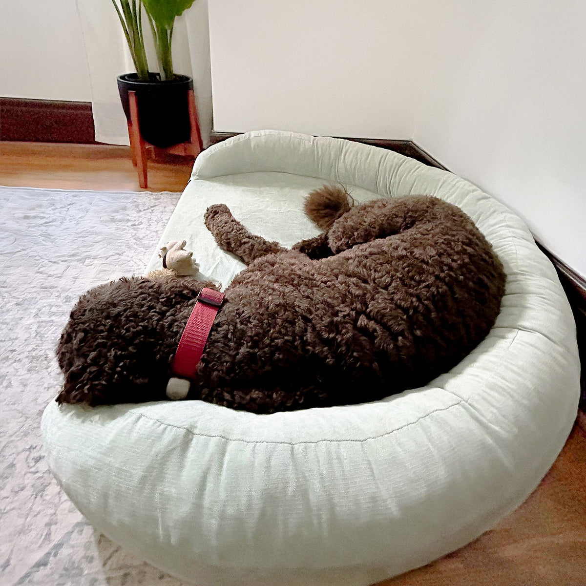 Foam Pet Bed product image 25