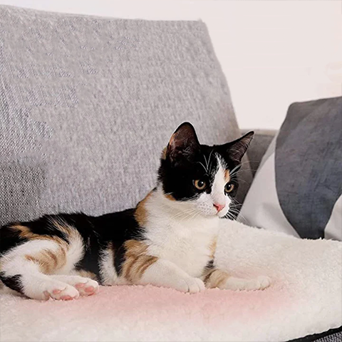 Self-Heating Cat Pad product image 1