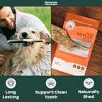 Whole Moose Antler Dog Chews product image 2