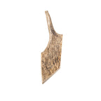 Whole Moose Antler Dog Chews product image 3