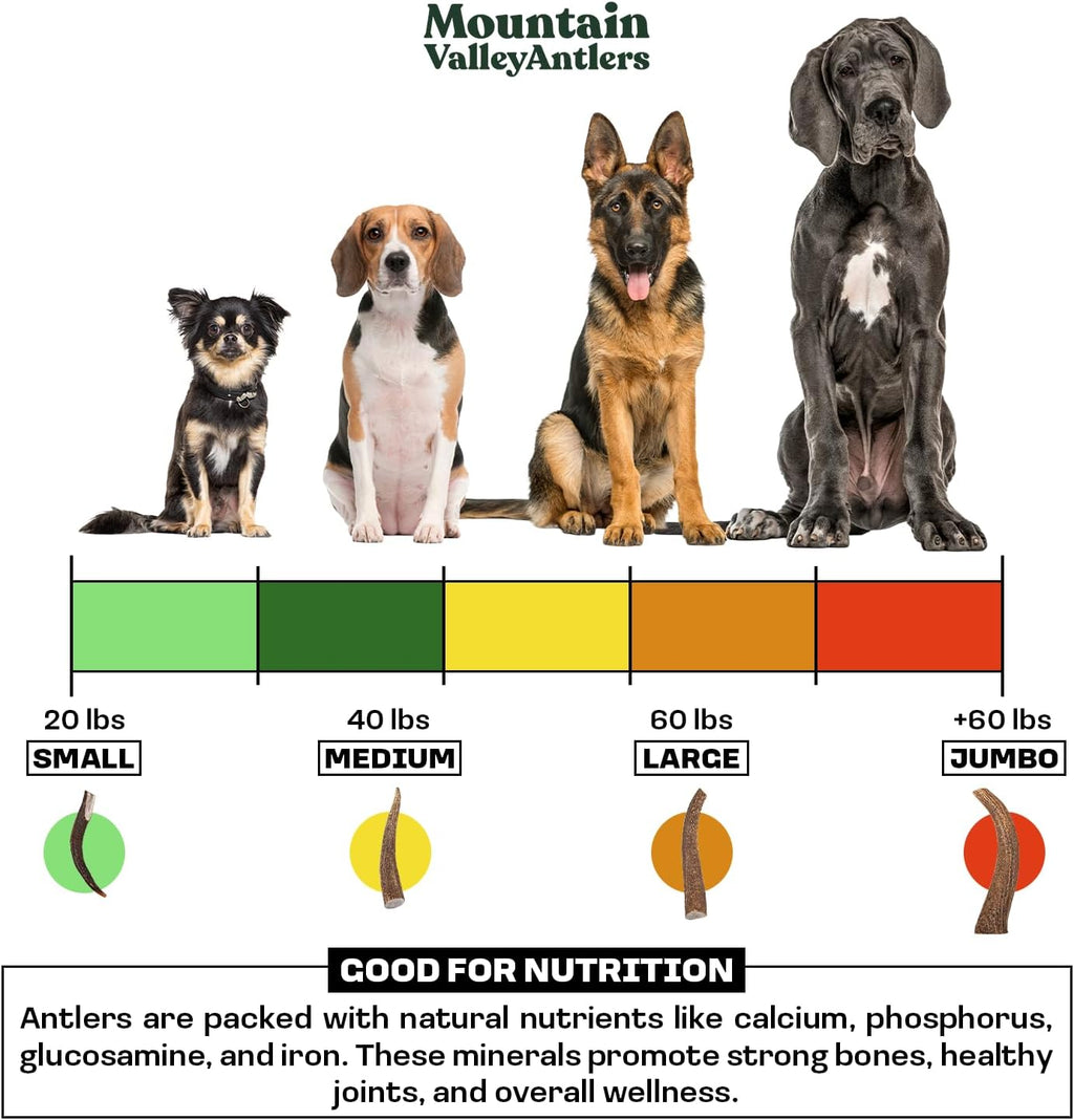 Whole Moose Antler Dog Chews product image 4