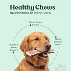 Natural Split Elk Antler Dog Chew product image 2