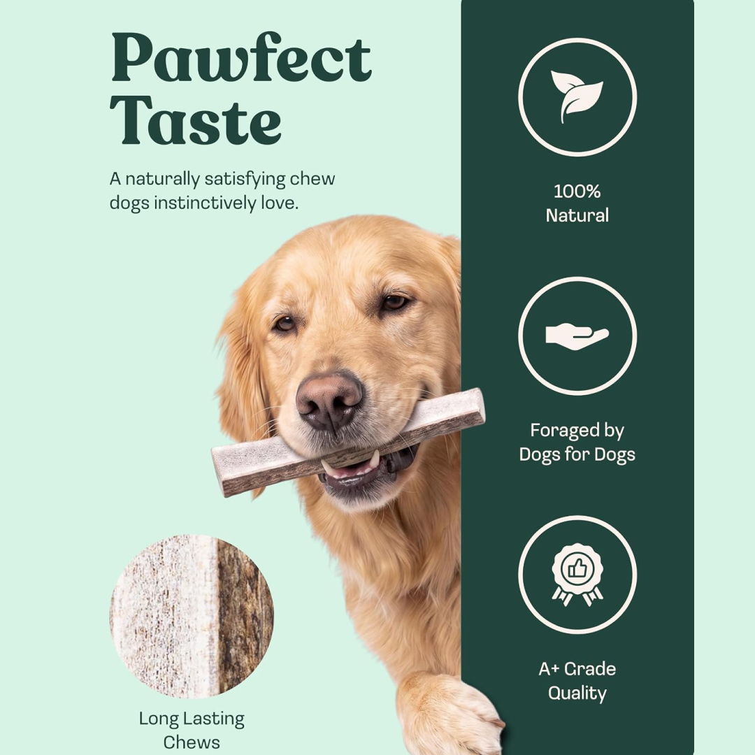 Natural Split Elk Antler Dog Chew product image 3