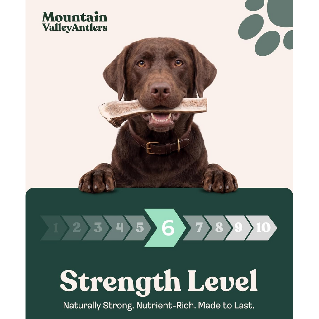 Natural Split Elk Antler Dog Chew product image 5