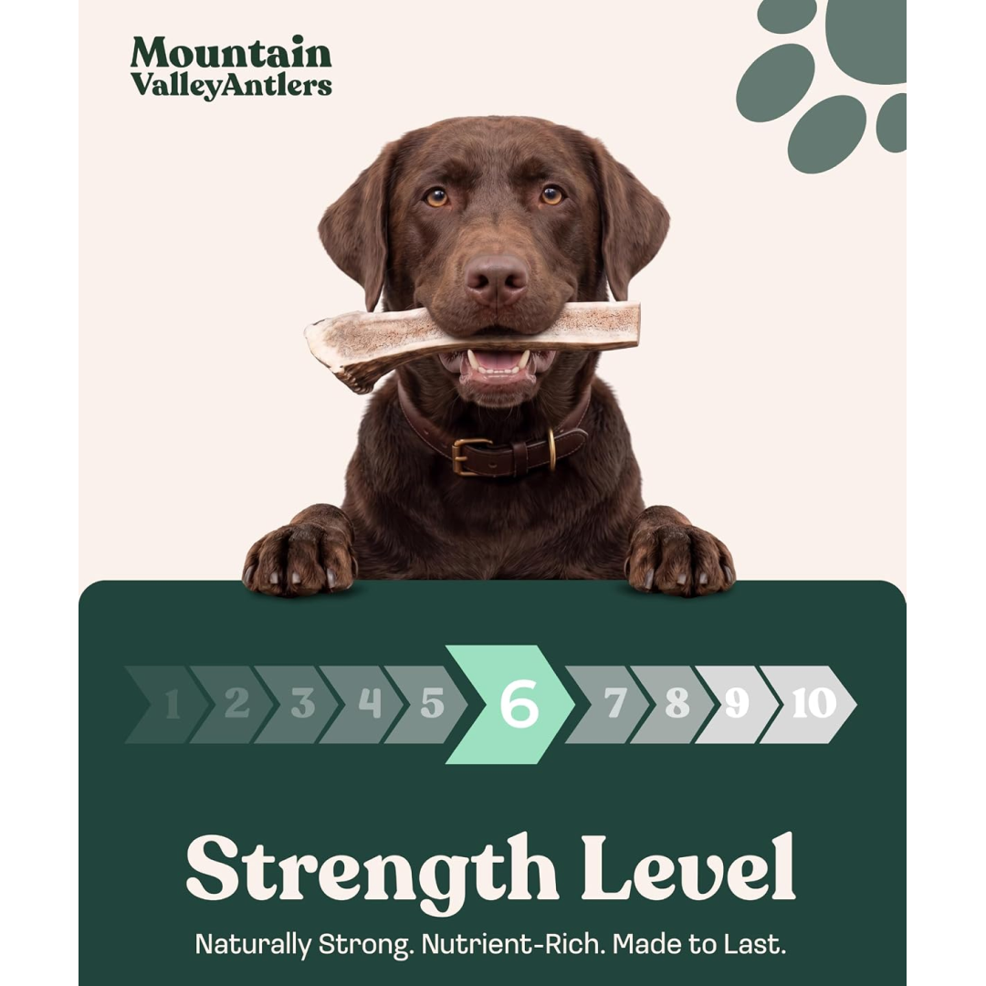 Natural Split Elk Antler Dog Chew product image 5