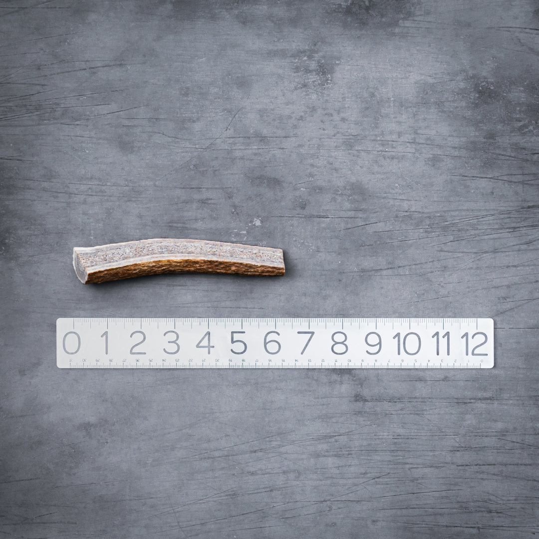 Natural Split Elk Antler Dog Chew product image 7