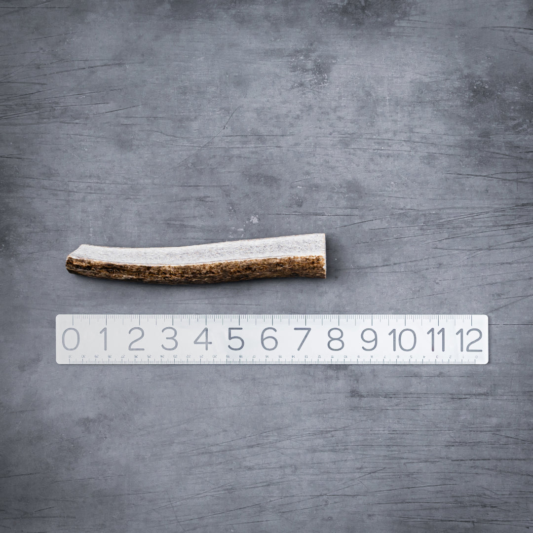 Natural Split Elk Antler Dog Chew product image 10