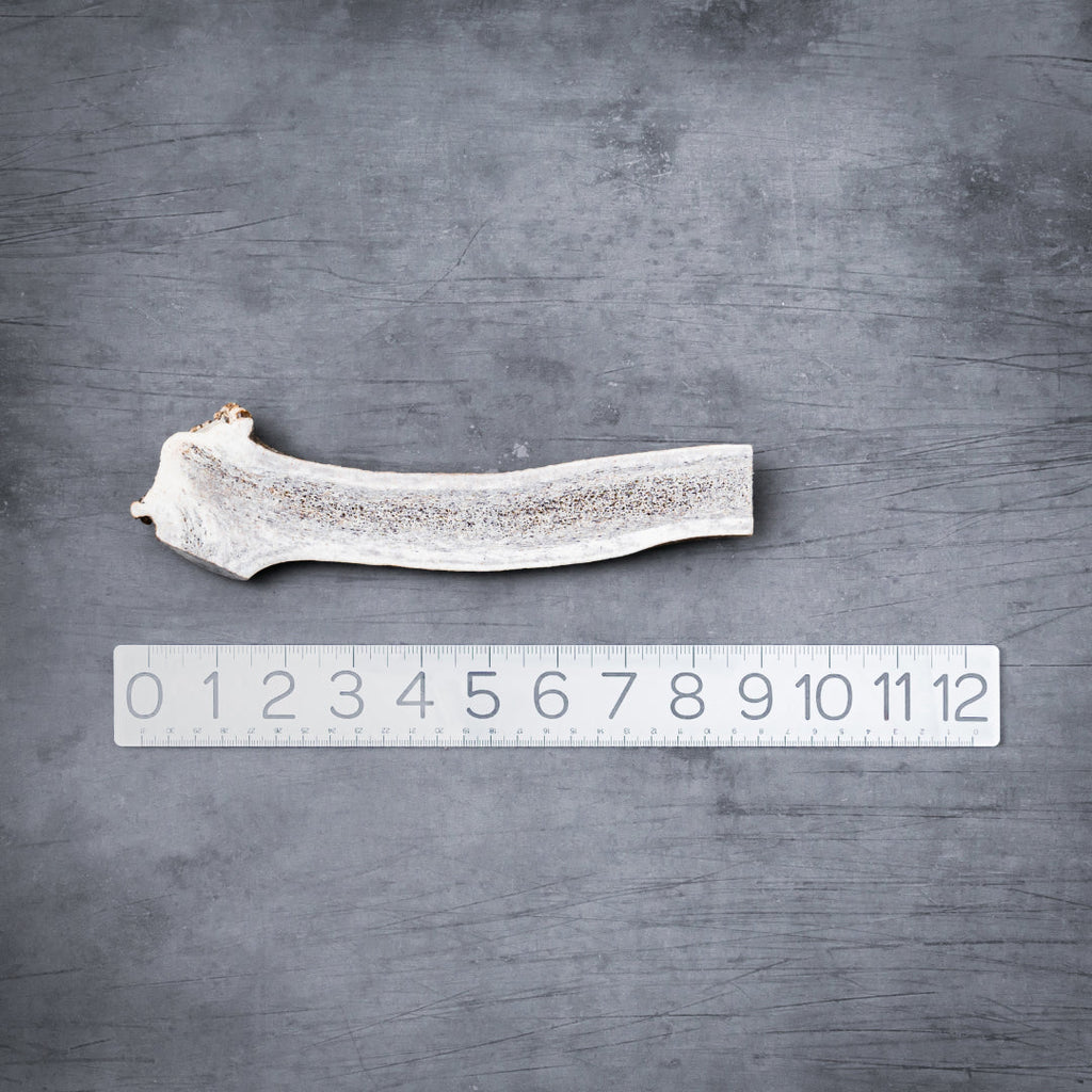 Natural Split Elk Antler Dog Chew product image 12