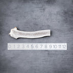 Natural Split Elk Antler Dog Chew product image 12