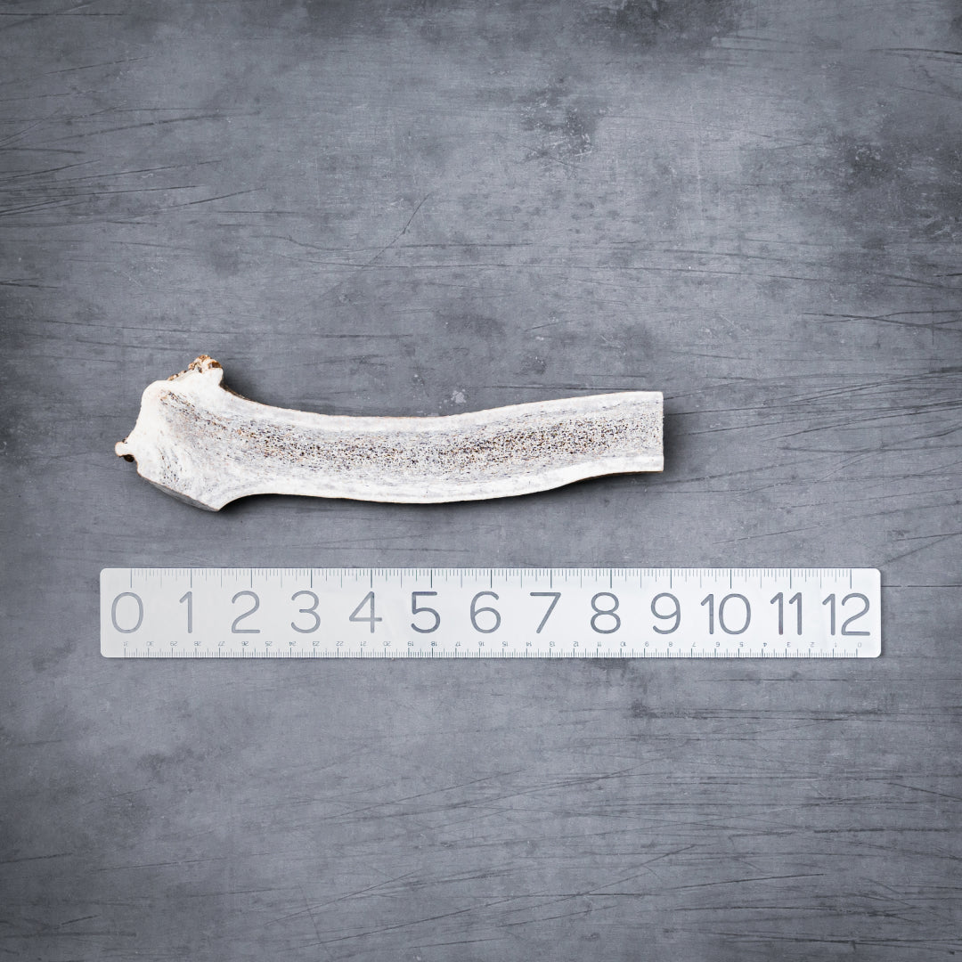 Natural Split Elk Antler Dog Chew product image 12