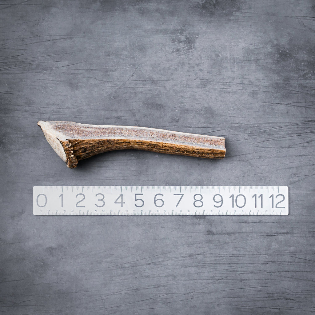 Natural Split Elk Antler Dog Chew product image 14