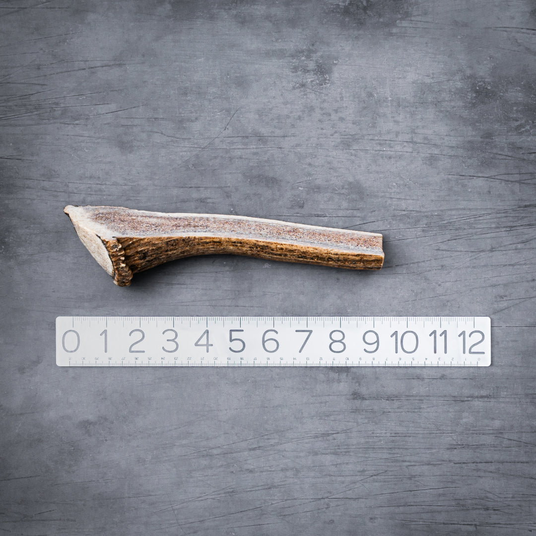 Natural Split Elk Antler Dog Chew product image 14