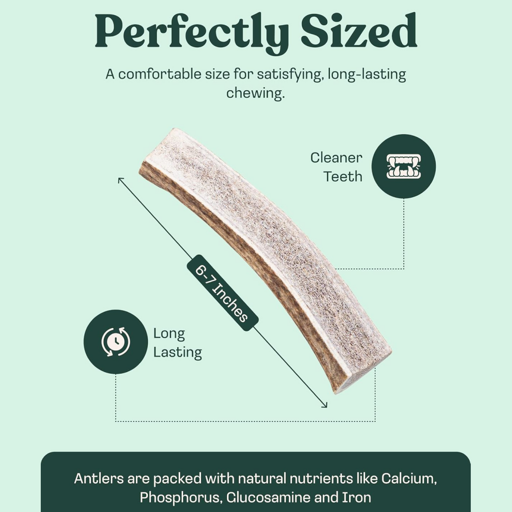 Natural Split Elk Antler Dog Chew product image 17
