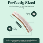 Natural Split Elk Antler Dog Chew product image 17