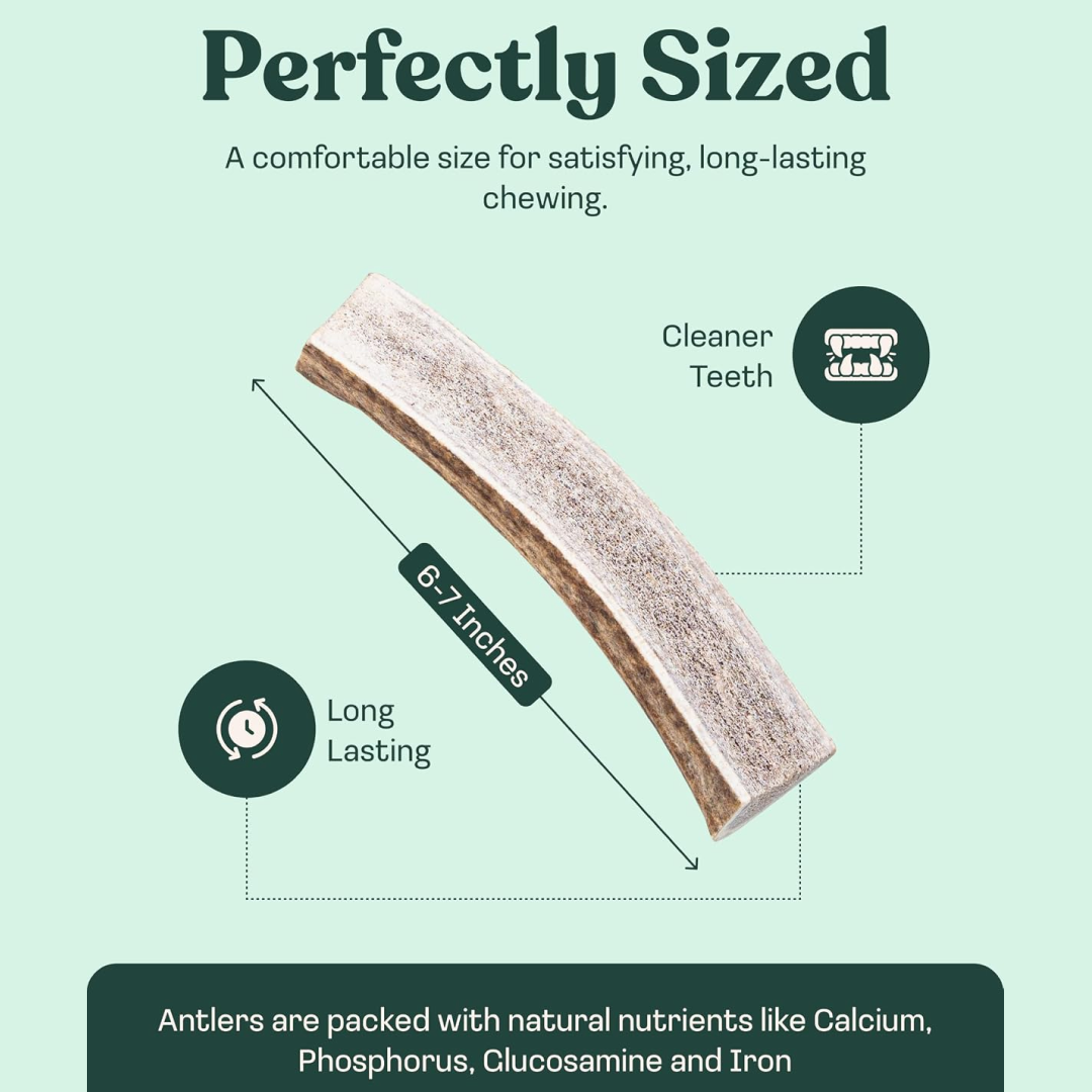 Natural Split Elk Antler Dog Chew product image 17