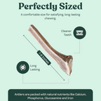 Natural Split Elk Antler Dog Chew product image 18