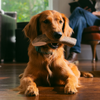 Natural Dog Chew product image 1