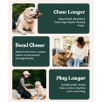 Natural Dog Chew product image 3