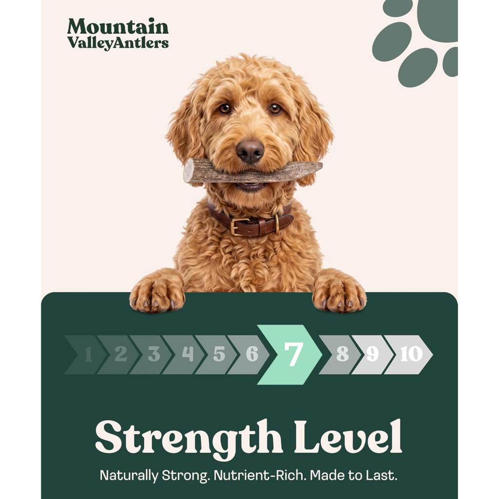 Natural Dog Chew product image 4
