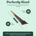 Natural Dog Chew product image 14