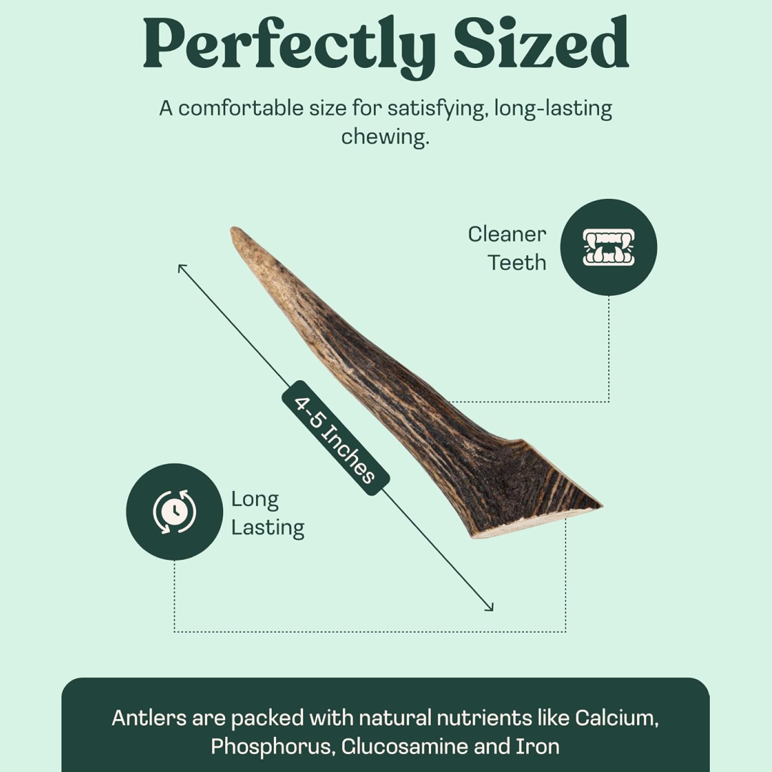 Natural Dog Chew product image 14