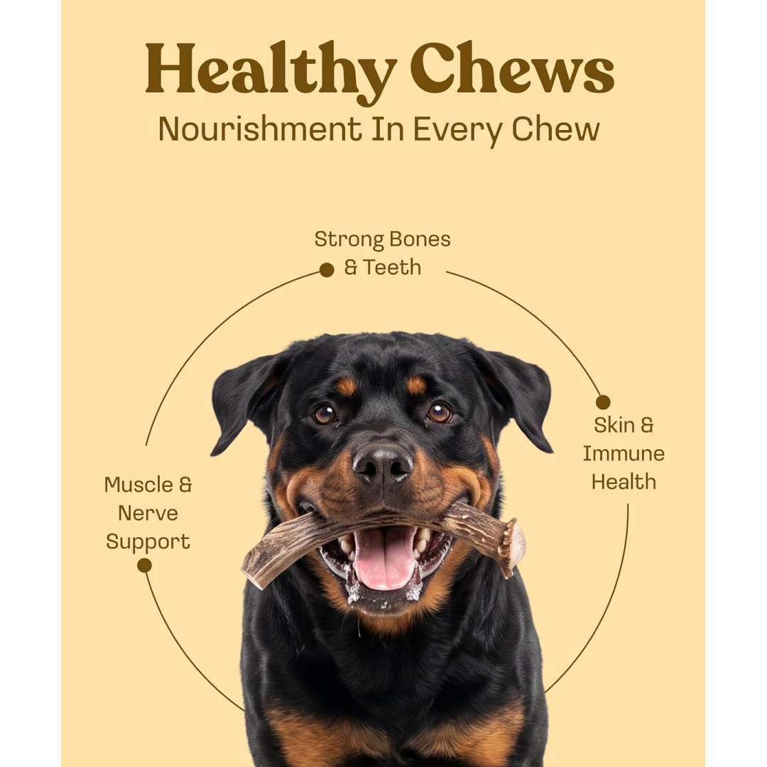 Whole Deer Antler Dog Chews product image 4
