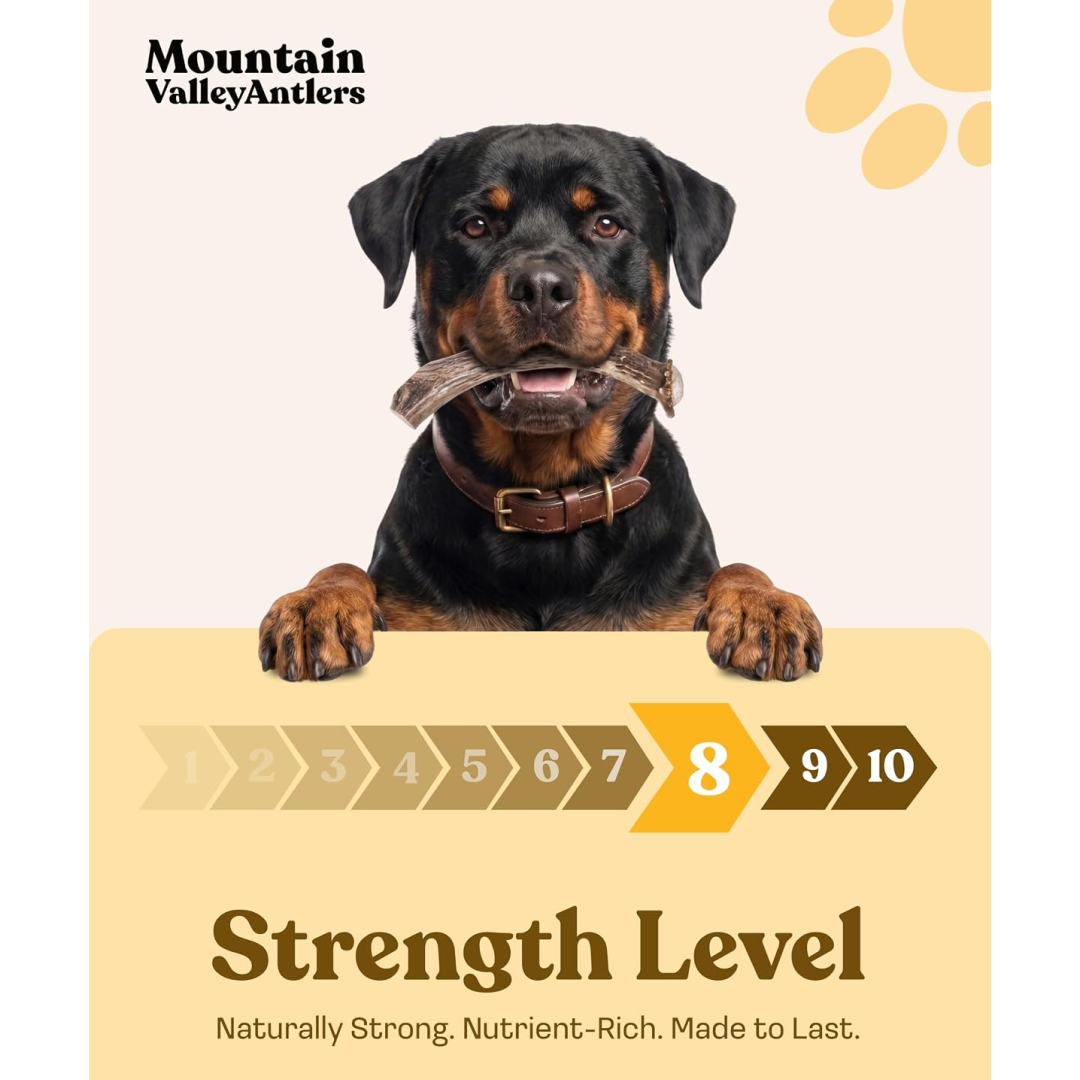Whole Deer Antler Dog Chews product image 5