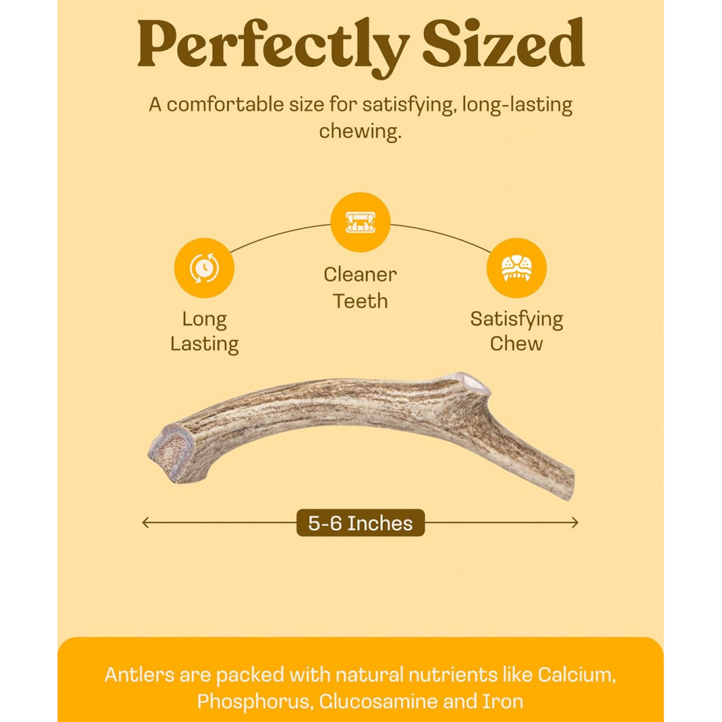 Whole Deer Antler Dog Chews product image 13