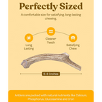 Whole Deer Antler Dog Chews product image 13