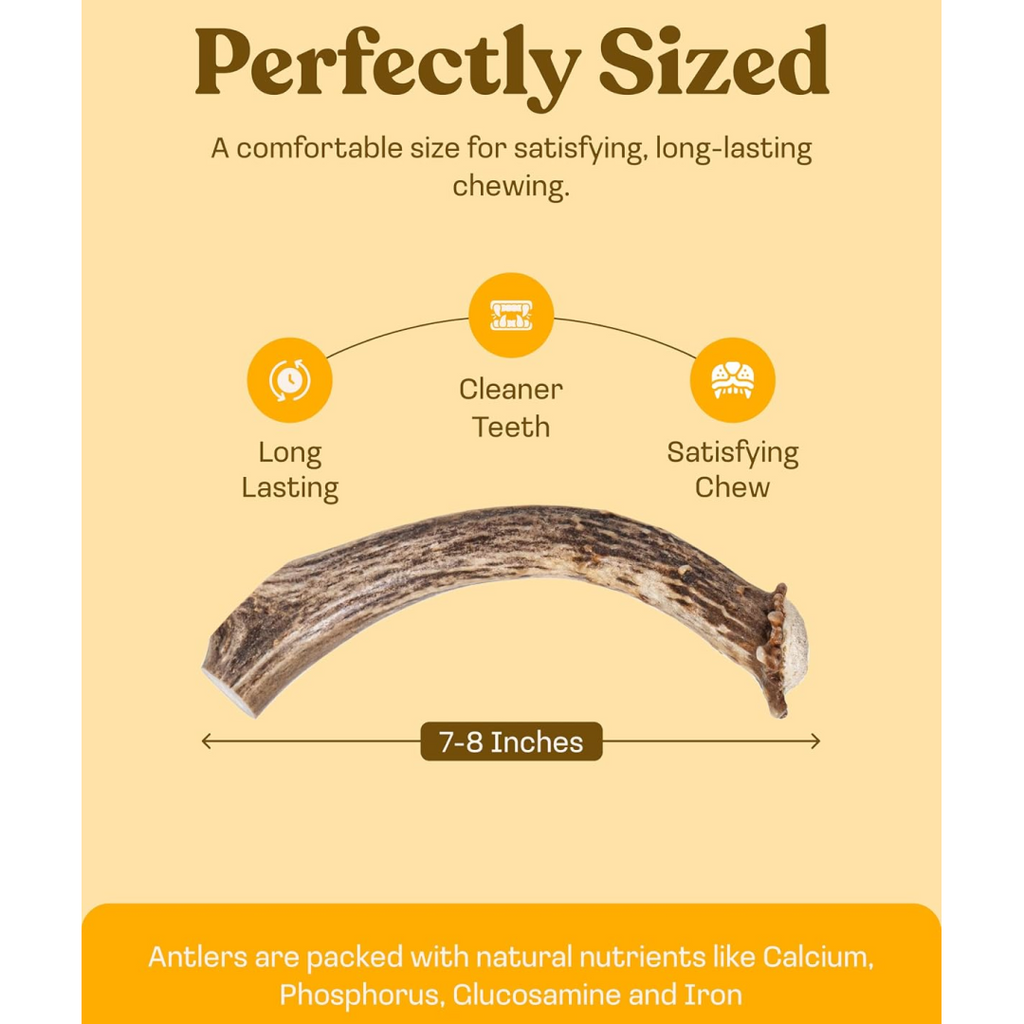 Whole Deer Antler Dog Chews product image 14