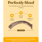Whole Deer Antler Dog Chews product image 14