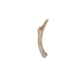 Whole Deer Antler Dog Chews, Small / Single
