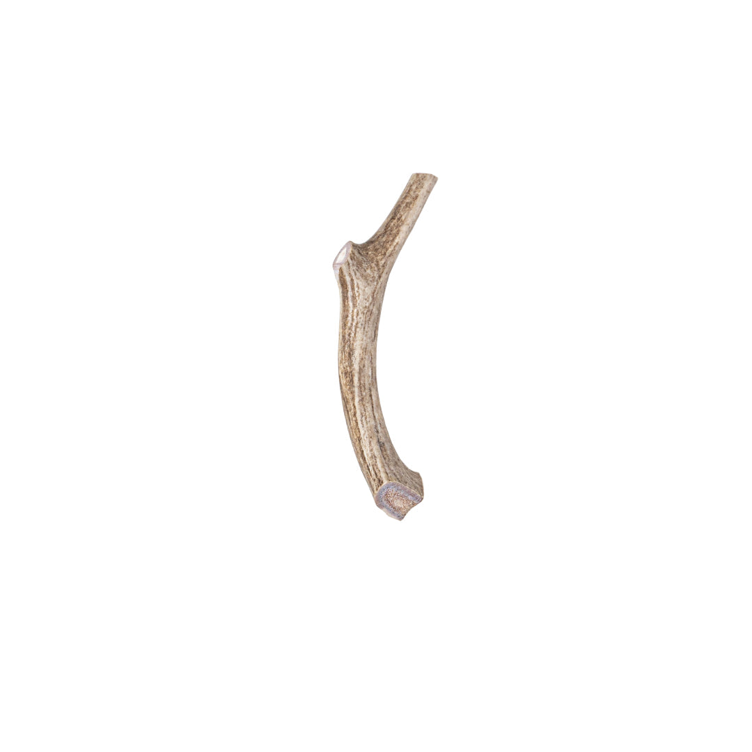 Whole Deer Antler Dog Chews, Small / Single