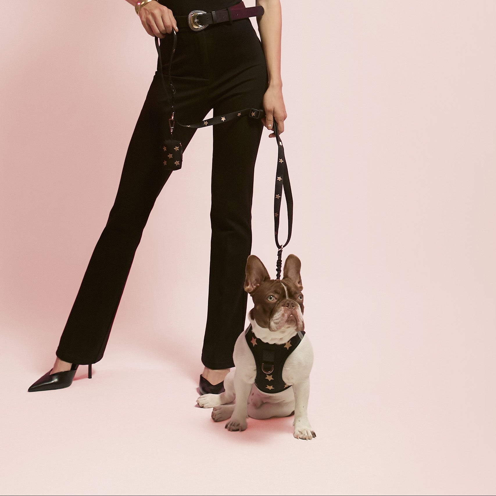 Dog Waste Bag Holder product image 2