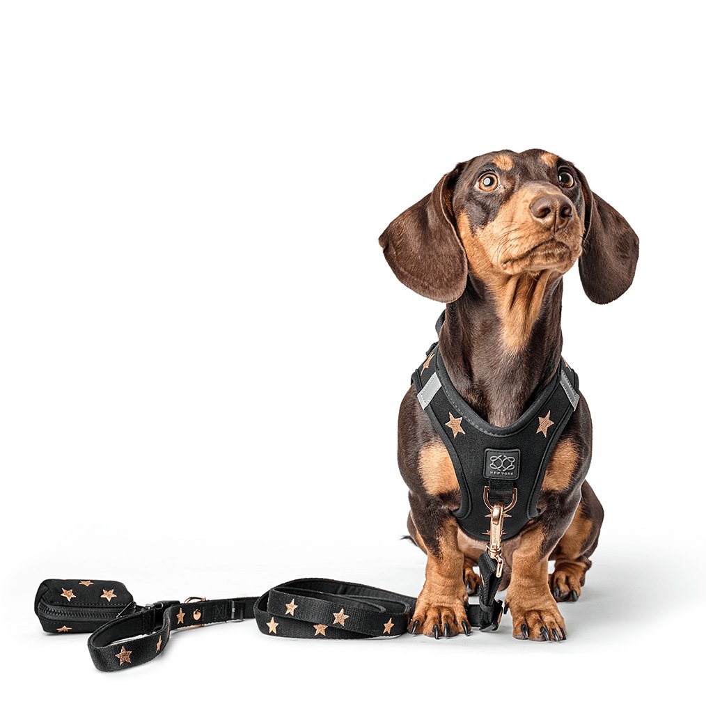 Dog Waste Bag Holder product image 3