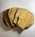 Indian Almond Leaves product image 2