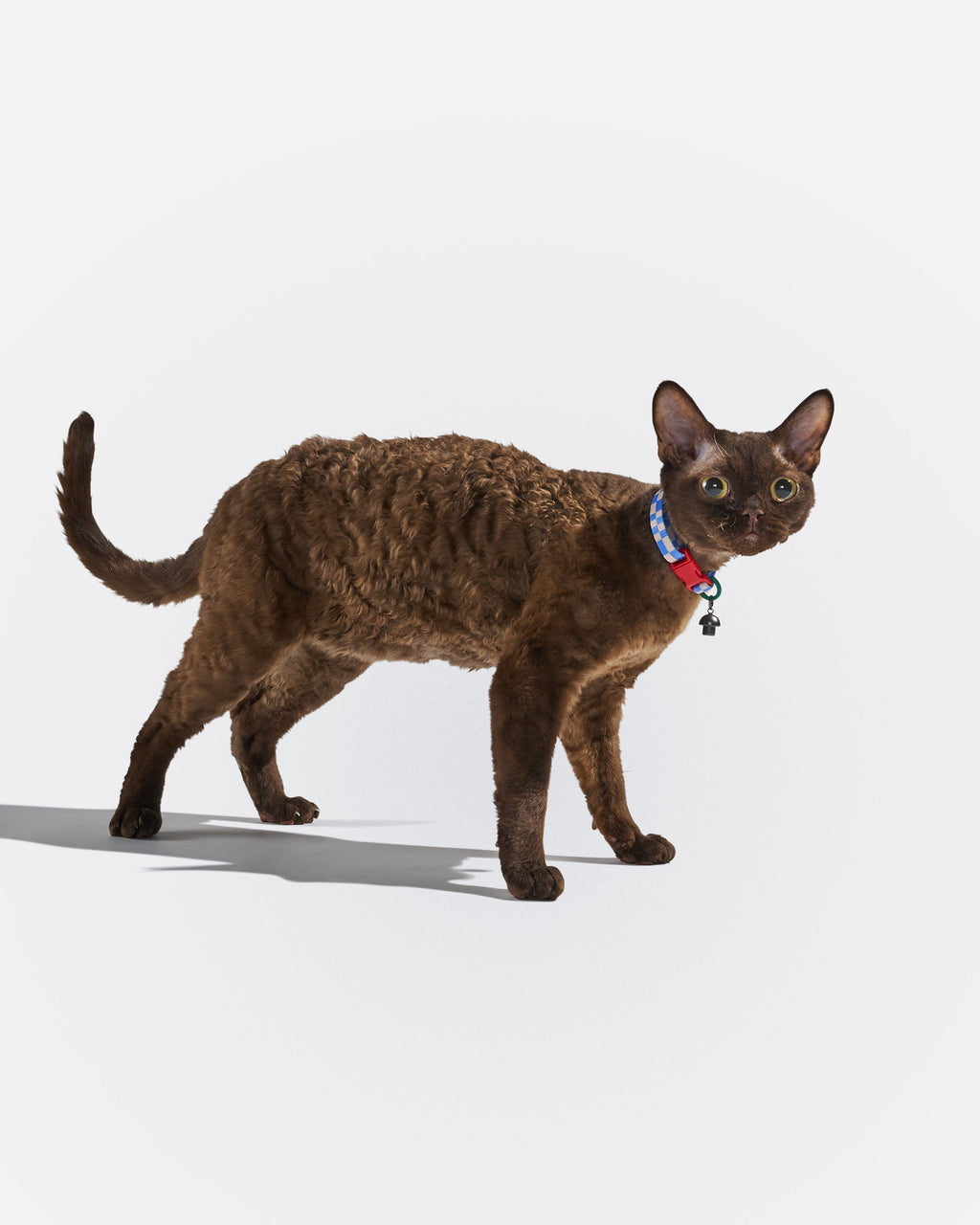 Breakaway Cat Collar product image 2