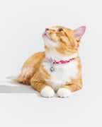 Breakaway Cat Collar product image 6