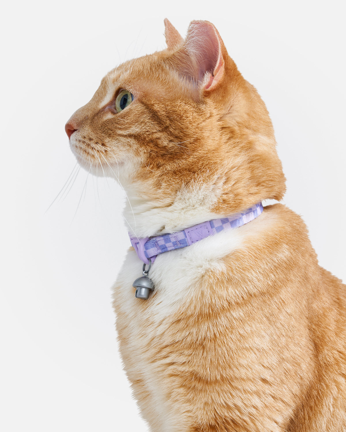 Breakaway Cat Collar product image 10